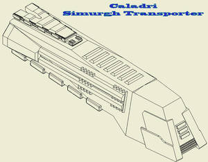 Caladri Simurgh Transporter