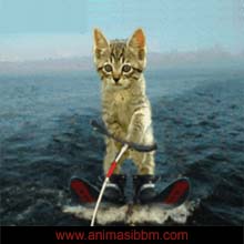 Dpbbm Foto Dp Bbm Bergerak Terbaru By Dpbbm Dpbbm Foto Dp Bbm Bergerak Terbaru By Dpbbm