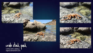 Crab stock pack