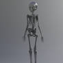 Anime Skeleton