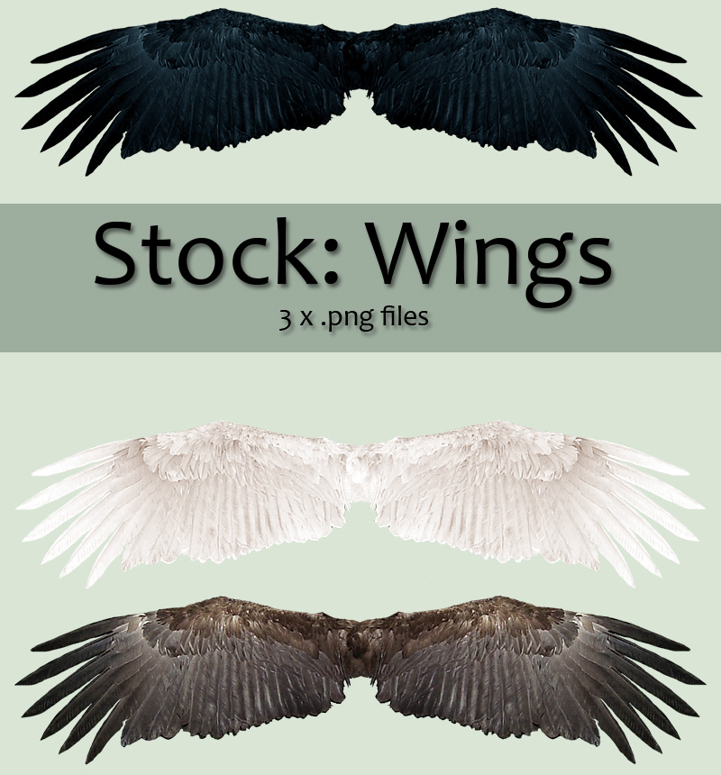 Stock: Wings set 1