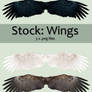 Stock: Wings set 1