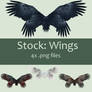 Stock: Wings set 2