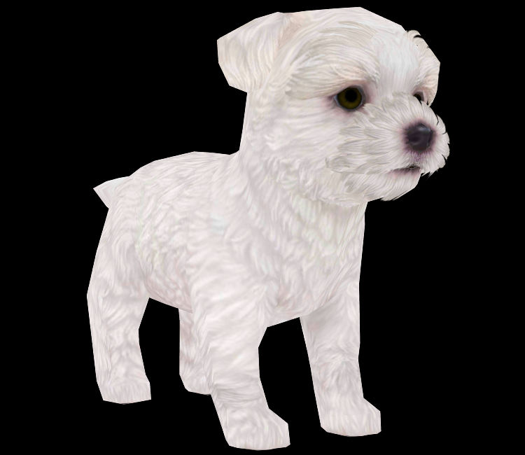 Nintendogs Dalmatian and Friends DS by Rosemoji on DeviantArt