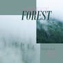 Texture pack 03 // forest textures