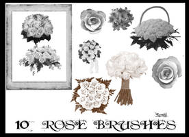 10 rose brushes for cs