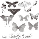 Butterflys and moth for cs2