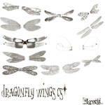 Dragonfly wings cs2