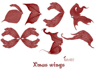 xmas wing brushes cs