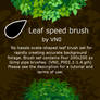 Ovate leaf speed brush set