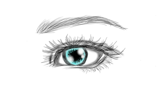 eye