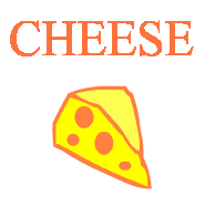 Cheese