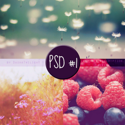 Psd #1