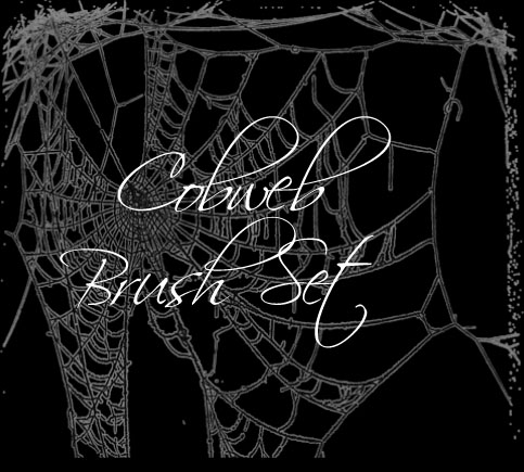 Cobweb Brush Set