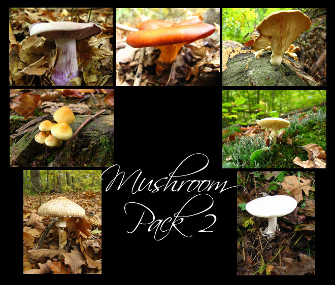 Mushroom Pack 2