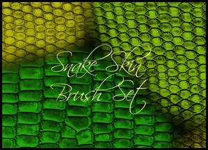 Snake Skin Brush Set