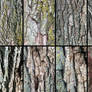Willow Bark Texture Pack