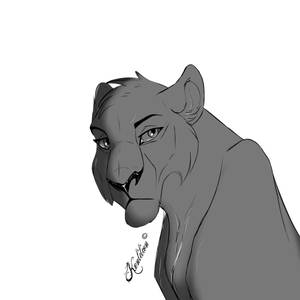 Lioness Linearts Free