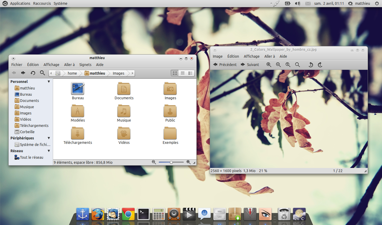 Equinox Evolution Light
