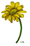 Pixel Daisy (MS Paint) by barananduen