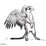 ink sketch of a winged meerkat