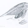 Cockatiel Wing Sketch