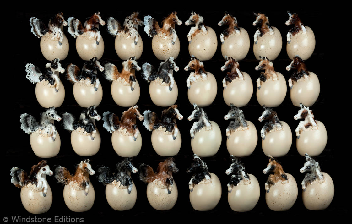 Rawsize img hatching Pegasus grab bag edition by Reptangle on DeviantArt