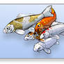 Koi On Blue