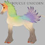D079|Boucle Foal Design