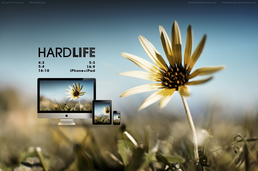 Hard Life Wallpaper