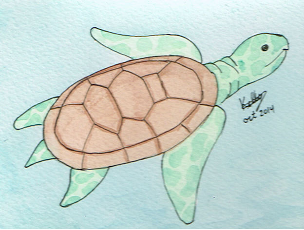 Turtle by Frozen-heart-3 on DeviantArt