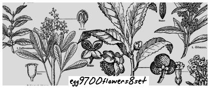 egg9700flowers8set