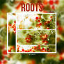 4 Textures - Roots by Evelyn