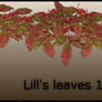 Leaves Pack 1