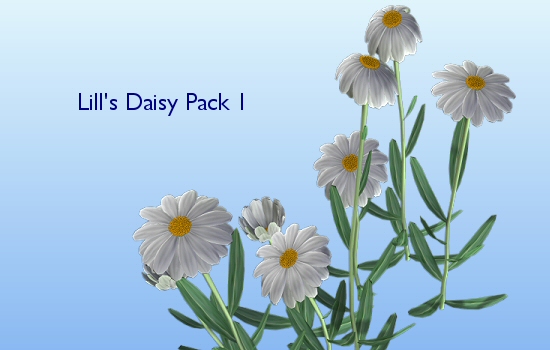 Daisy Pack 1