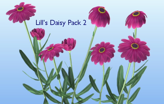 daisy pack 2