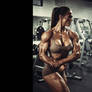 The Muscle Project: Volume One (4K Ultra HD)