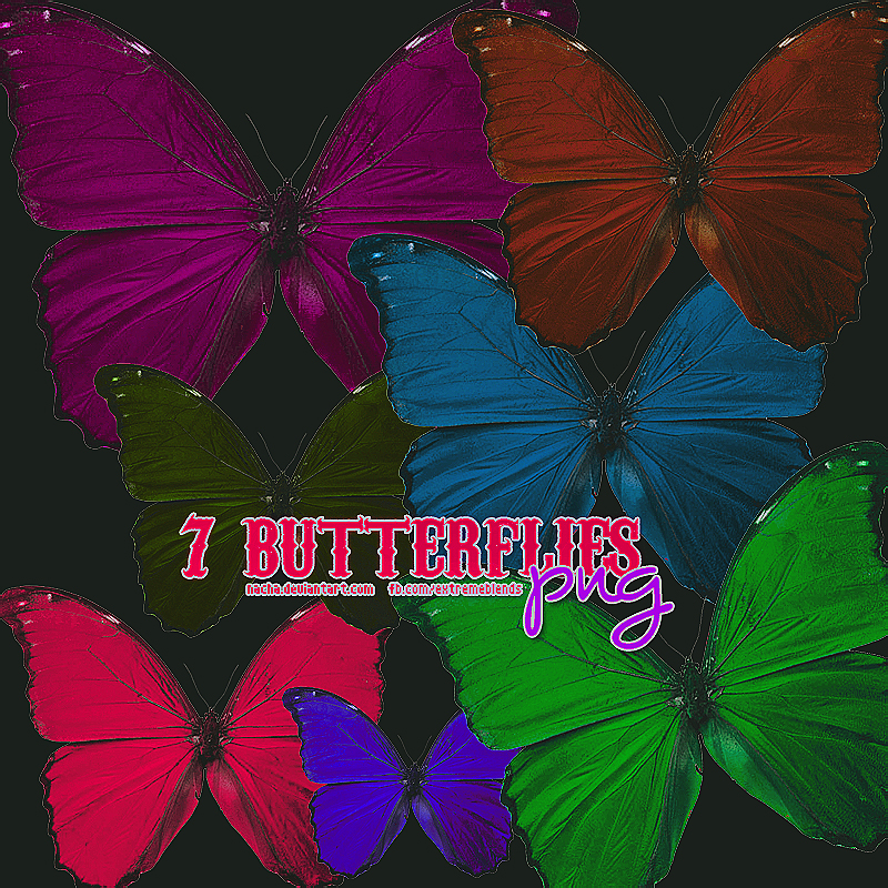 Butterflies PNG by NachaEditions on DeviantArt