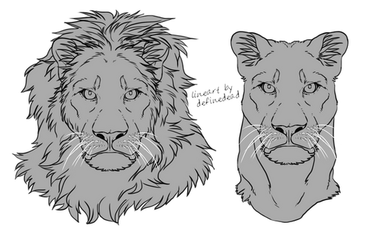 Lion busts