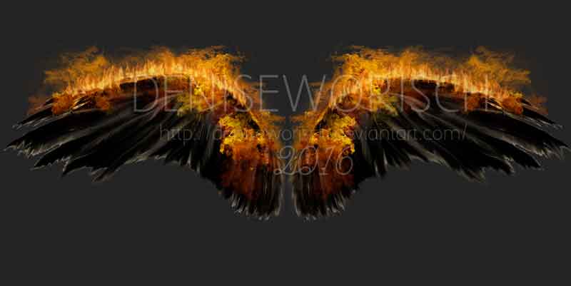 wings2016CP