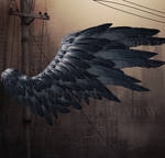 Ab2018wings by DeniseWorisch
