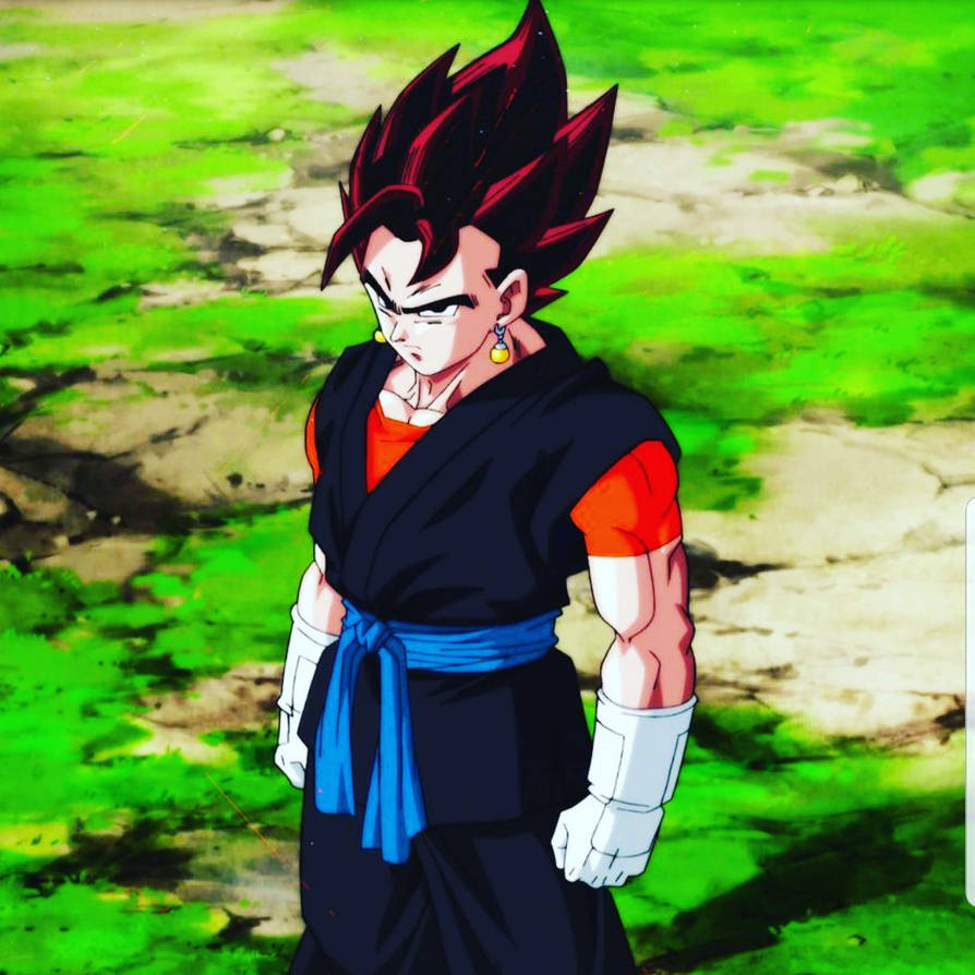 Potara God [Vegito Male Reader] Part 1 by DemonSuperSaiyan on DeviantArt