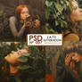 PSD 007 - Late Afternoon