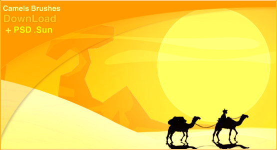 Camels Brushes + Sun PSD .