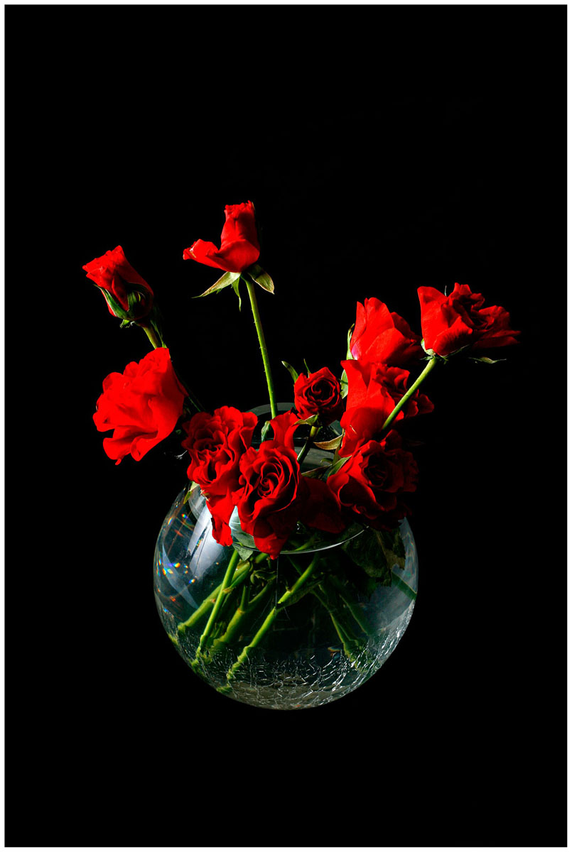 3D photo - 'Roses for...'