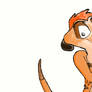 Timon