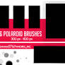 Big polaroid brushes PS7