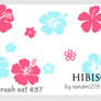 Hibiscus brushes