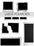 Large polaroid brushes