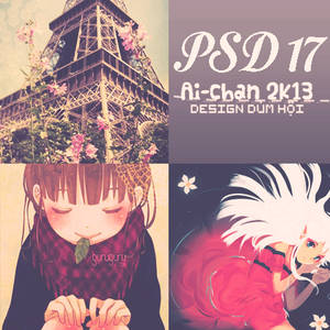 PSD 17